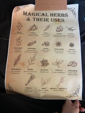 Magical Herbs & Their Uses Poster Witchy Kitchen Wall Art 11.8x16.5”